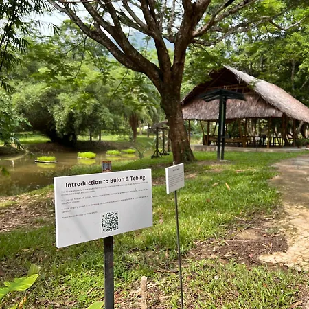 Ambong Rainforest Retreat